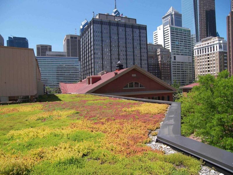 paysagiste-ST ZACHARIE-min_green-roof-portfolio-4